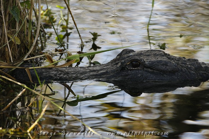 2009-01-10 10-43-14__MG_2154.JPG